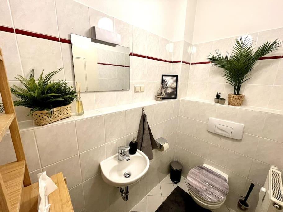 Appartamento Casarina - Stilvoller Altbau In Zentraler Lage Dresda Esterno foto